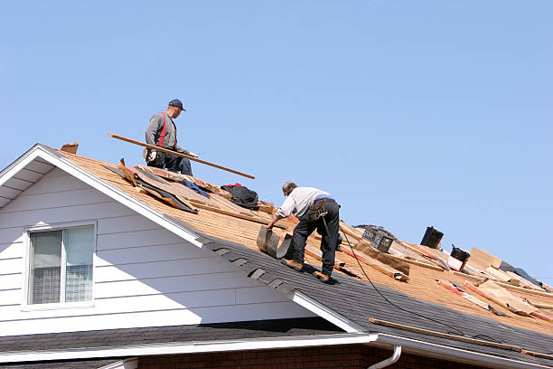 Best Roof Maintenance and Cleaning  in Ransomville, NY